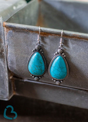 
            
                Load image into Gallery viewer, Turquoise Brenham Earrings
            
        